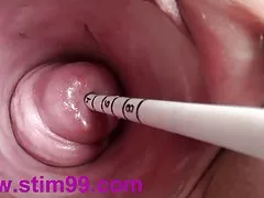 布鲁内特在丝袜喜欢暨